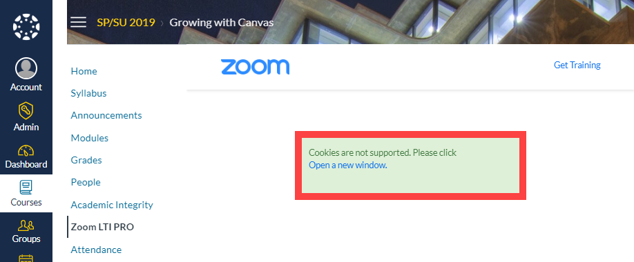 "Open in a new window" prompt when trying to use Zoom in Canvas